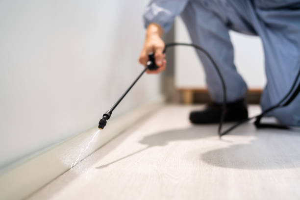 Licensed Termite Control service in Larchmont, NY - Nex Pest Control