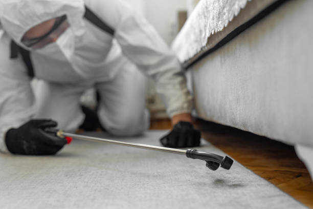 Professional Termite Control technician working in Larchmont, NY