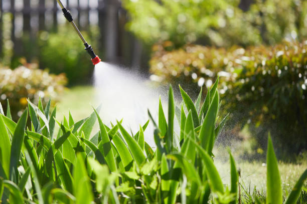 24/7 Emergency Termite Control experts in Larchmont, NY