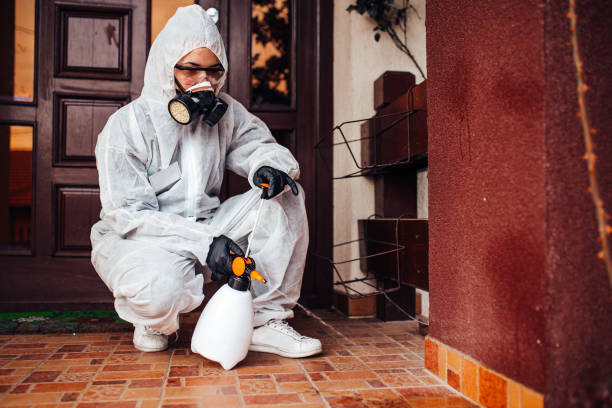 Reliable Termite Control contractor in Larchmont, NY by Nex Pest Control