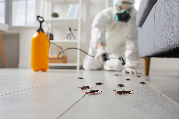Affordable Termite Control solutions in Larchmont, NY