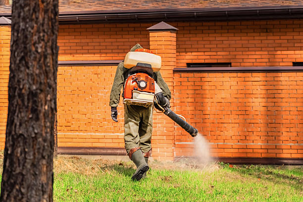 Top rated local Termite Control specialists in Larchmont, NY